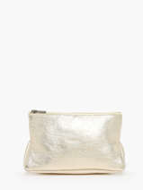 Pouch Leather Etincelle Irisée Etrier Gold etincelle irisee EETI853
